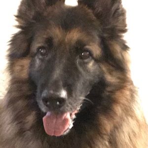 Meet your Posher, Patty